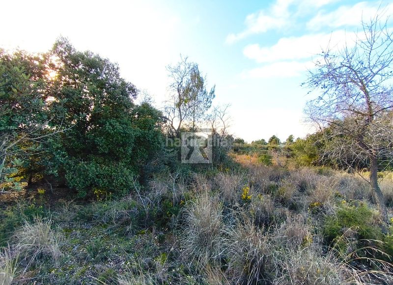 Foto acb72f92-f5cd-483c-b8dc-20ba1e91686d. Finca rústica a carrer provadors 2 a Vallmoll