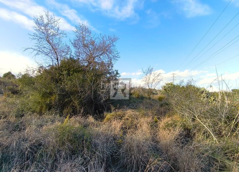 Foto b1d72071-aab7-4014-9d06-91ffd7eae137. Finca rústica a carrer provadors 2 a Vallmoll
