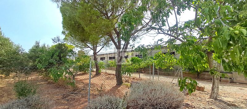 Foto 4686df03-6fe0-4957-aea8-704de92e1a71. Masia a n/a a Alcover