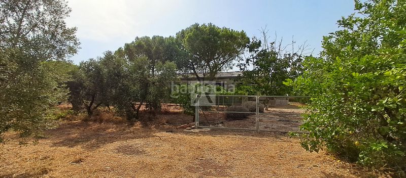 Foto 671ba316-3410-4e2b-bdd8-86dcd10c81f4. Masia a n/a a Alcover