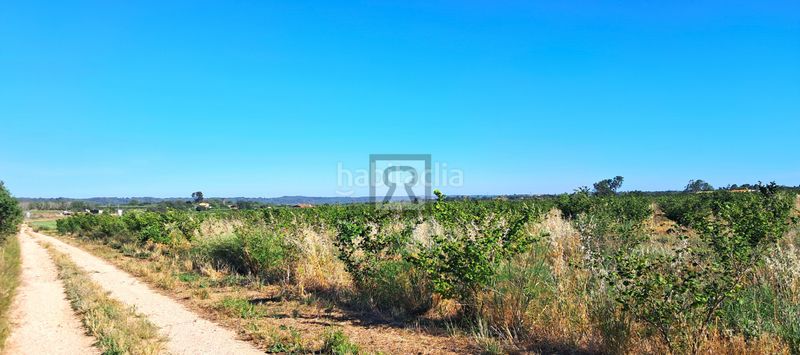Foto aa97c958-33ad-4320-81d3-9013c25b0cd7. Masia a n/a a Alcover
