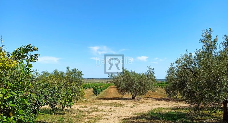 Foto b77e6d64-95e3-430d-b17b-1b5b2208fa80. Masia a n/a a Alcover
