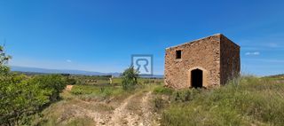 Finca rústica en N/a. Terreno con viña  y caseta de piedra – montferri | tarragona