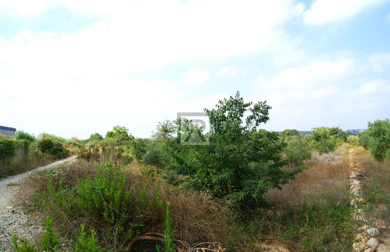 Foto 1a2f7c80-7c7f-4018-b636-553e7961b114. Finca rústica a Valls