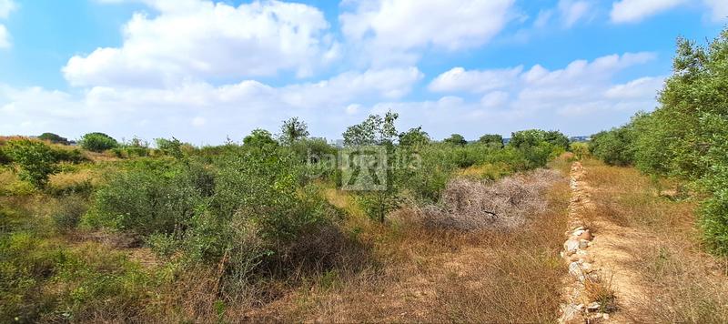 Foto 6b771729-e3aa-4a73-9a20-b6dc34a9ad33. Finca rústica a Valls