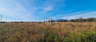 Rural plot in Partida burguet 2. Finca rustica de 8000m2, llana,  sin cultivo  y muy buen acceso