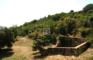Finca rústica a Cami vell s pere 12. Finca rústica de 1.8ha con balsa, almacén y cercado para caballo