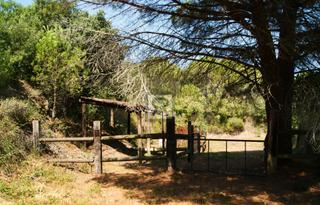 Rural plot in Cami vell s pere 12. Finca rústica de 1.8ha con balsa, almacén y cercado para caballo