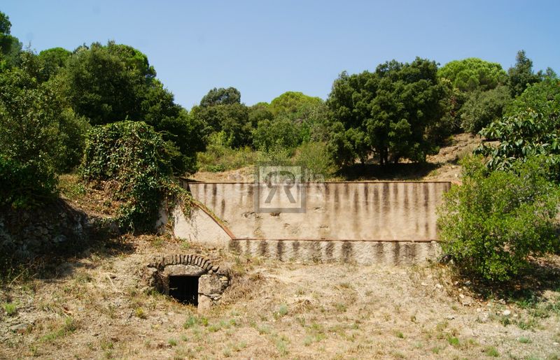 Foto 093ef868-fbc8-4010-9810-e82291653740. Finca rústica a cami vell s pere 12 a Selva del Camp (La)