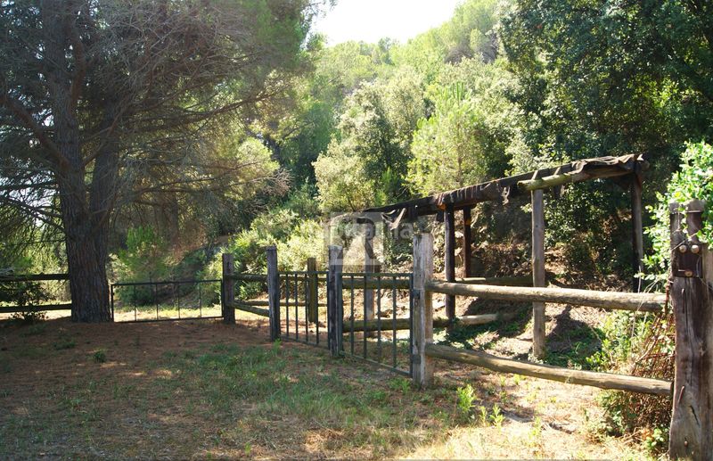 Foto 11c096fd-7d37-434a-ae09-aa15199603b4. Finca rústica a cami vell s pere 12 a Selva del Camp (La)