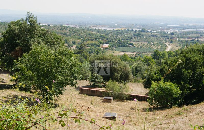 Foto 15121549-a9bd-4ea2-bb8a-5d14587d72e1. Finca rústica a cami vell s pere 12 a Selva del Camp (La)