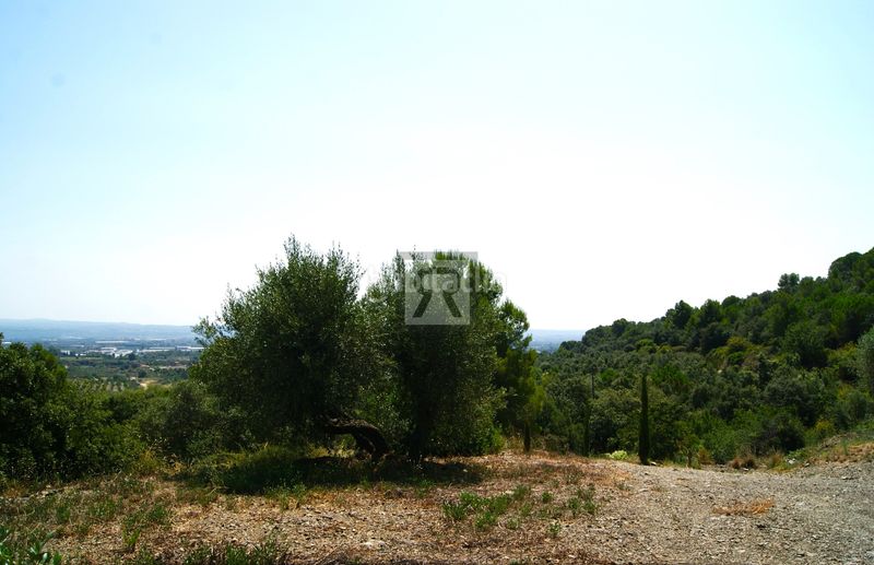 Foto 17b9e9d0-8956-402a-988d-336cfacedb08. Finca rústica a cami vell s pere 12 a Selva del Camp (La)