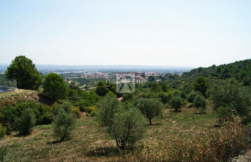 Foto 2ab36cd2-6dd8-491c-a68e-a67f270dc2d4. Finca rústica a cami vell s pere 12 a Selva del Camp (La)
