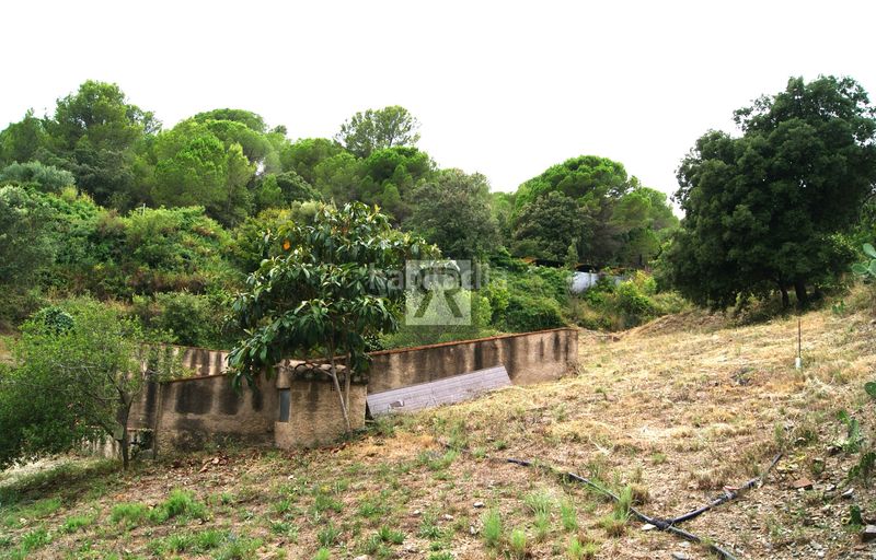 Foto 34d52259-585a-4a50-83ca-d505958ca926. Finca rústica a cami vell s pere 12 a Selva del Camp (La)