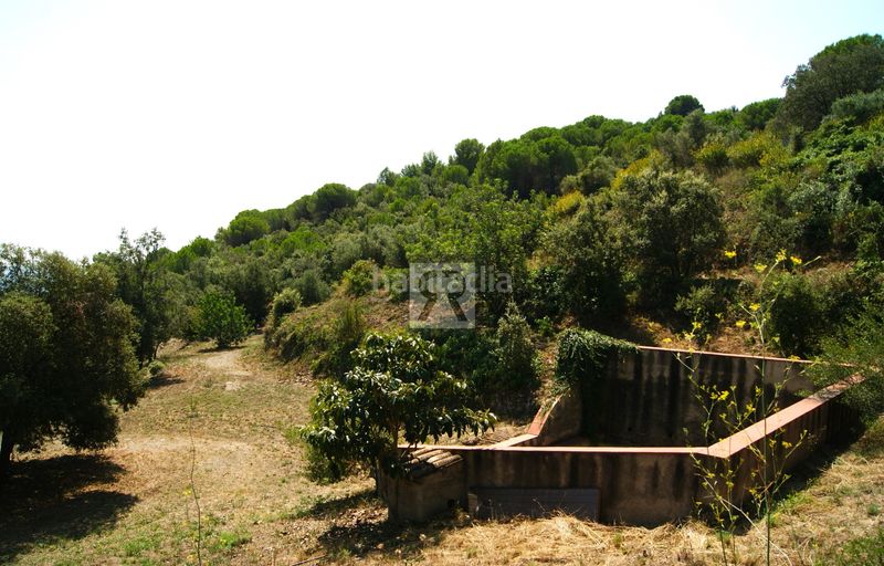 Foto 4020dc79-2de4-445d-bc29-1361d5efa5eb. Finca rústica a cami vell s pere 12 a Selva del Camp (La)