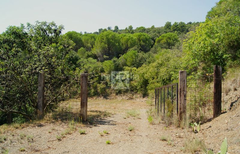 Foto 43e21cdb-54d7-4651-9b6e-244a3298b221. Finca rústica a cami vell s pere 12 a Selva del Camp (La)
