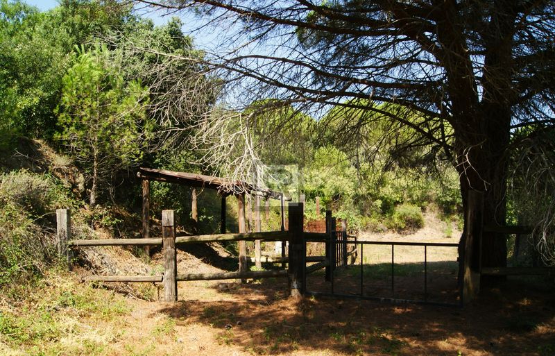 Foto 59fe5722-f544-4859-afa7-41d280c3d081. Finca rústica a cami vell s pere 12 a Selva del Camp (La)