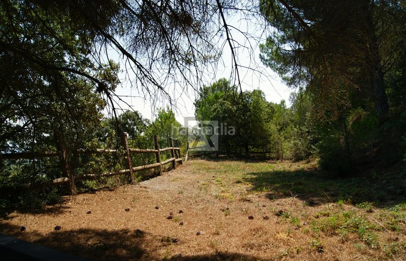 Foto 5b620eee-cd81-47bd-b938-8e4a00744f6d. Finca rústica a cami vell s pere 12 a Selva del Camp (La)
