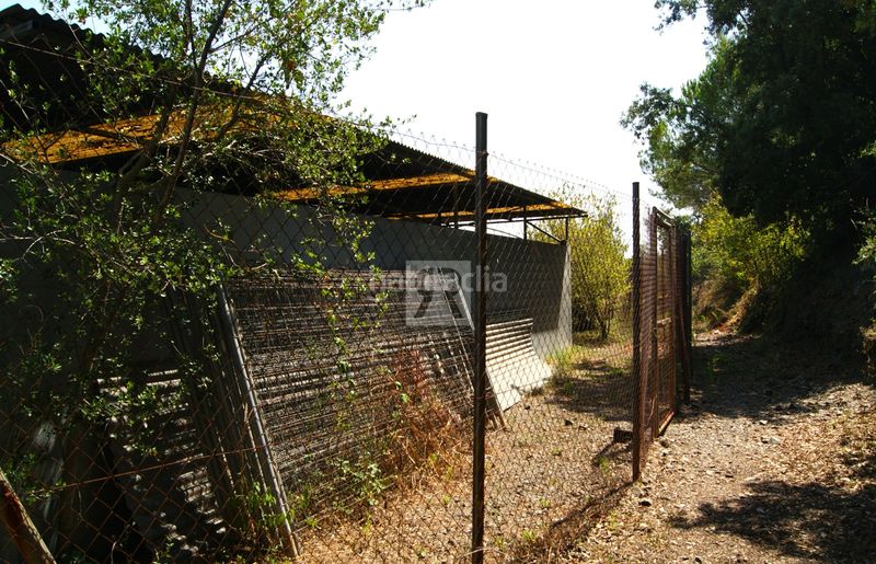 Foto 628cb0ab-bcff-48e7-9fbb-f421564e9dc7. Finca rústica a cami vell s pere 12 a Selva del Camp (La)