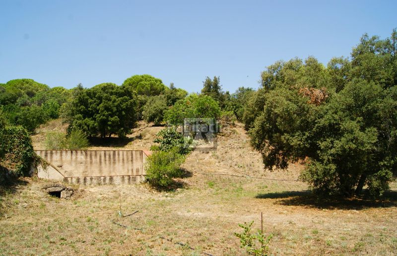 Foto c1cba3ef-0d25-4247-9ad9-078284272c42. Finca rústica a cami vell s pere 12 a Selva del Camp (La)