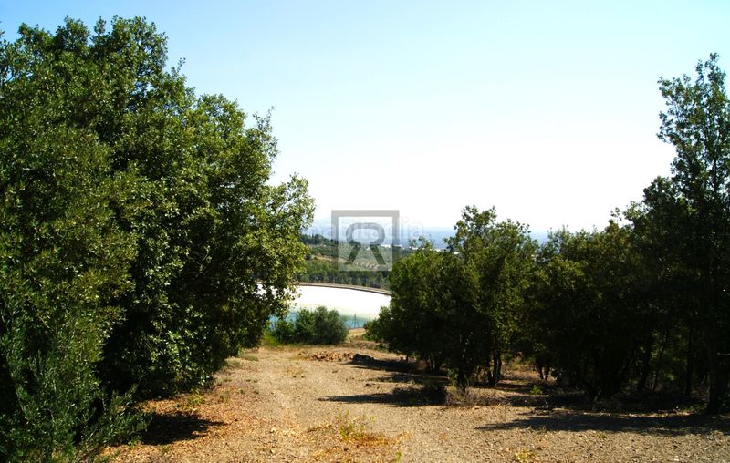 Foto f5f414a2-4b48-4a8a-9da1-99a44a70a131. Finca rústica a cami vell s pere 12 a Selva del Camp (La)