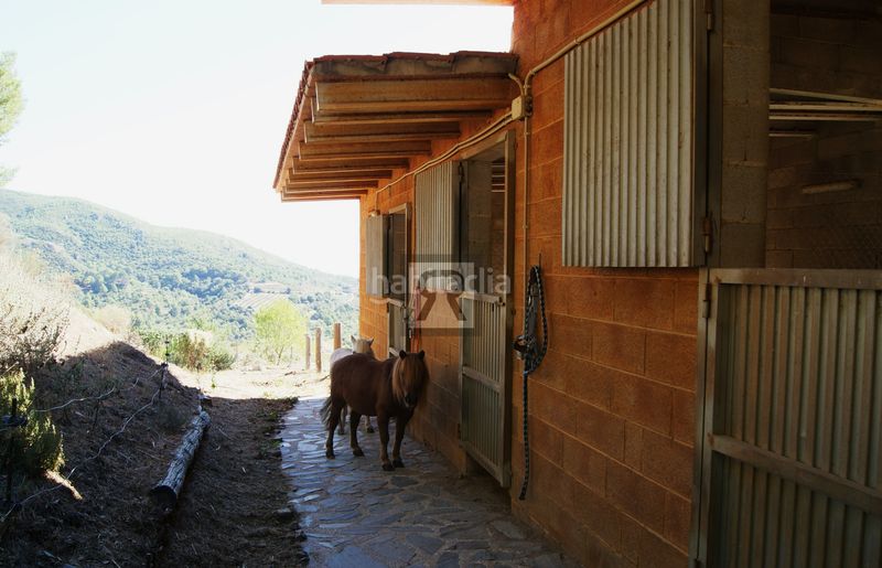Foto 4ffbacc1-87a6-4295-9cf2-9a8df609791d. Bauernhof in partida joan mas 45 in Albiol (L´)