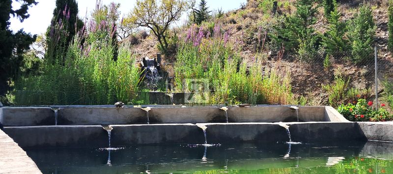 Foto 79ce35d3-b962-41bb-9a10-9fe655534189. Bauernhof in partida joan mas 45 in Albiol (L´)