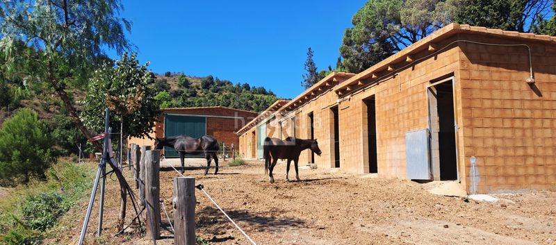 Foto d0060465-0bbb-4eb2-8024-72e43cf4acf3. Bauernhof in partida joan mas 45 in Albiol (L´)