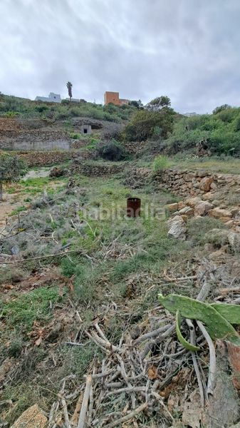 Foto e7e8e9f9-f3f7-4901-8ab4-b8c90bc72bad. Finca rústica a Arico