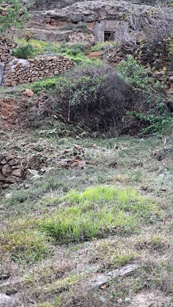 Foto f95114d4-5cc2-44ba-aa0e-ea7cccba09d3. Finca rústica a Arico