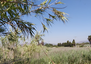 Residential Plot in Corinto-Almardà