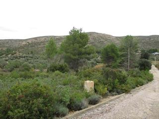 Terreny residencial a Macastre