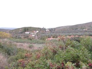 Terreny residencial a Macastre