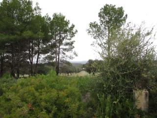 Terreny residencial a Macastre