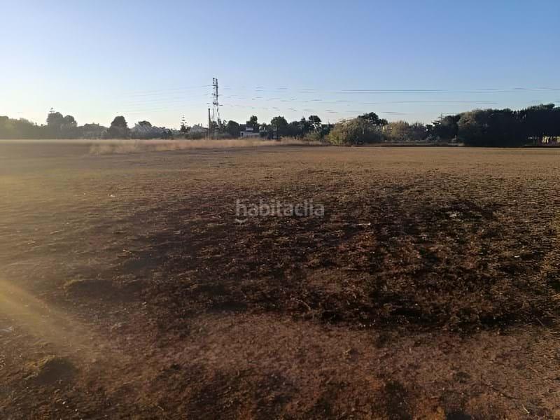 Foto 8acdbeba-3522-4071-85b7-6172383d6ad9. Terreno residencial en Centro - Ambulatorio Paiporta