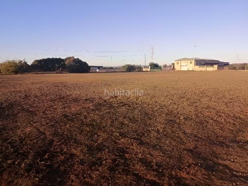 Foto 65fe47cc-f3ea-43e3-b7b2-f79b3b99a96d. Terreno residenziale in Centro - Ambulatorio Paiporta