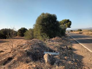 Residential Plot in Gallipont