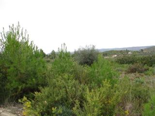 Terreny residencial a Macastre