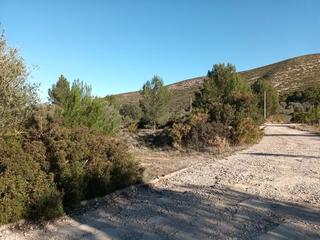 Terreny residencial a Macastre