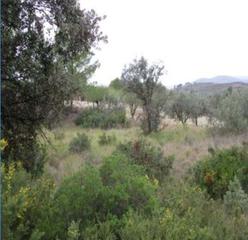 Terreno residenziale in Macastre