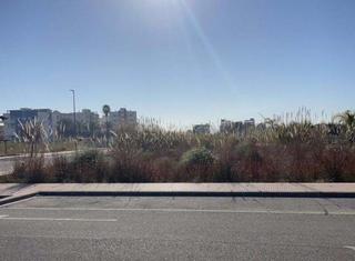 Terreny residencial a Piles