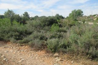 Residential Plot in Godelleta