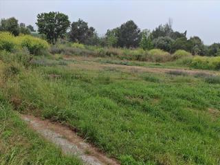 Residential Plot in El Dossel - Mareny de San Lorenzo