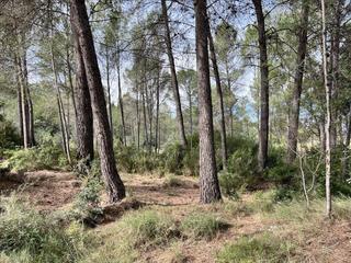 Residential Plot in Bicorp