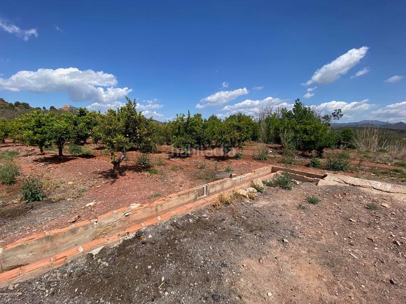 Foto 8588f9cc-f8c2-49be-a048-b6e74d17d08c. Terreno residencial en Torres Torres