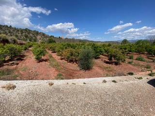 Terreny residencial a Torres Torres