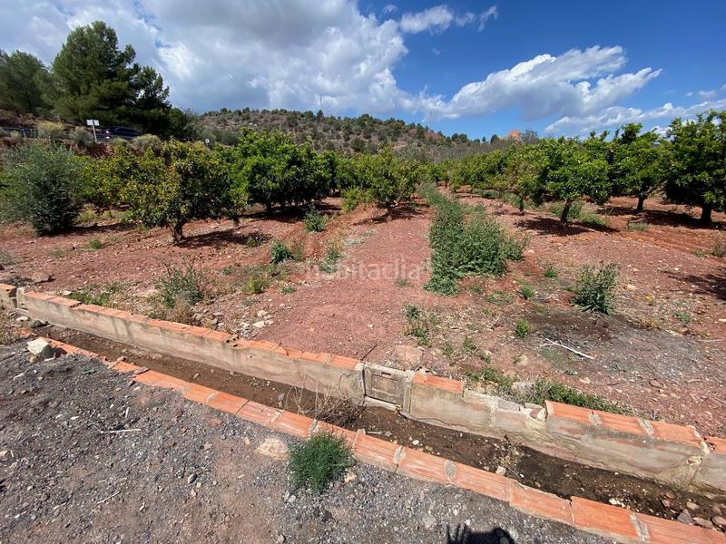 Foto ccd1aaf9-2d70-46d4-bc6c-888c6c630d84. Terreno residencial en Torres Torres