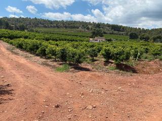 Terreno residenziale in Torres Torres