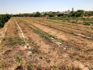 Casale in Quartell