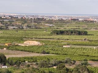 Terreny residencial a Picassent